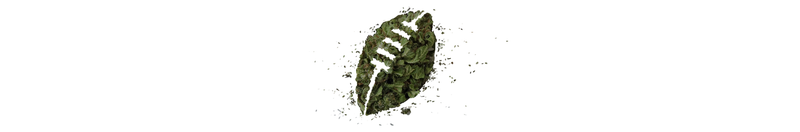 Illustration for article titled NFL Players Need Medical Marijuana, But Their Union Won't Help